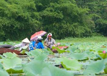 Hình dã ngoại