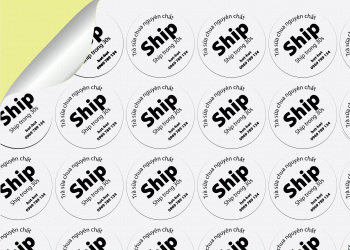 Decal giấy