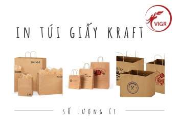 Nơi in túi giấy Kraft số lượng ít tại quận 10 tp.hcm – Vigroup