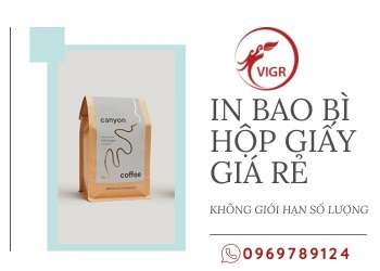 IN BAO BÌ HỘP GIẤY GIÁ RẺ KHÔNG GIỚI HẠN SỐ LƯỢNG - VIGROUP