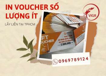 IN VOUCHER SỐ LƯỢNG ÍT LẤY LIỀN TẠI TPHCM – VIGROUP