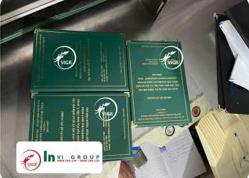 BÌA MẠ VÀNG ĐẠI HỌC PHẠM NGỌC THẠCH