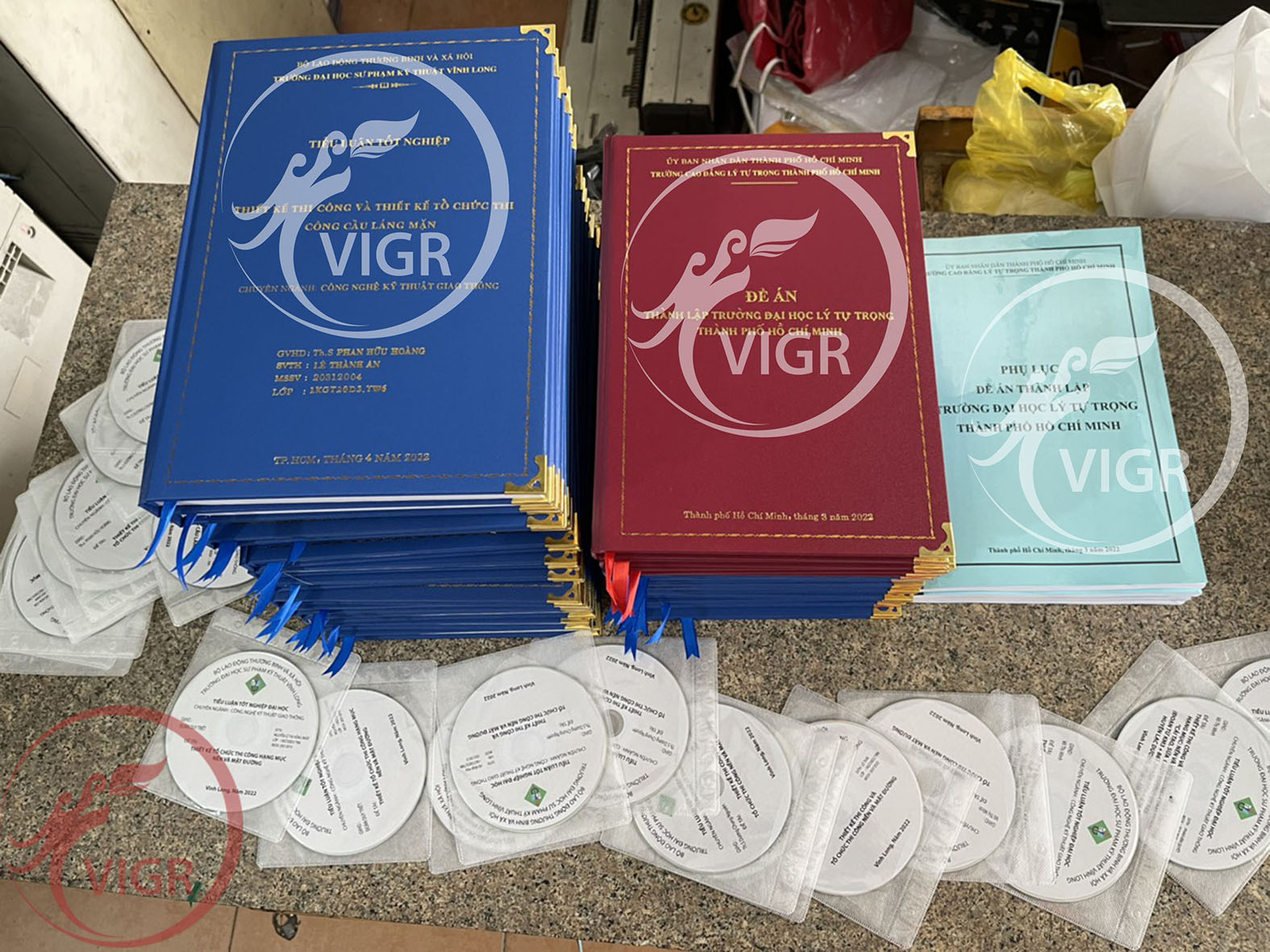 Bìa mạ vàng Đại Học Vĩnh Long